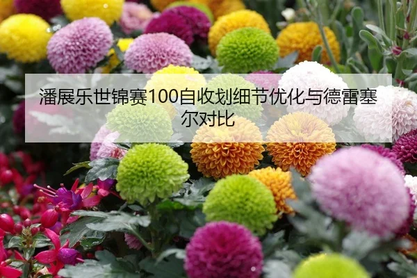 潘展乐世锦赛100自收划细节优化与德雷塞尔对比