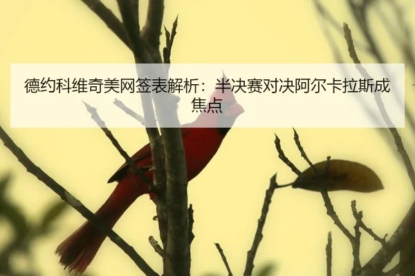 de-yue-ke-wei-qi-mei-wang-qian-biao-jie-xi-ban-jue-sai-dui-jue-a-er-ka-la-si-cheng-jiao-dian-2-604.jpg
